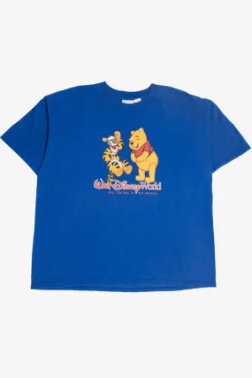 "All The Fun In The World" Winnie The Pooh And Tigger Walt Disney World T-Shirt (2000s)